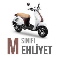 M Sınıfı Ehliyet